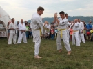 Pokaz Karate Pisarzowa