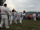 Pokaz Karate Pisarzowa