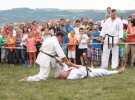 Pokaz Karate Pisarzowa