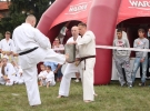 Pokaz Karate Pisarzowa