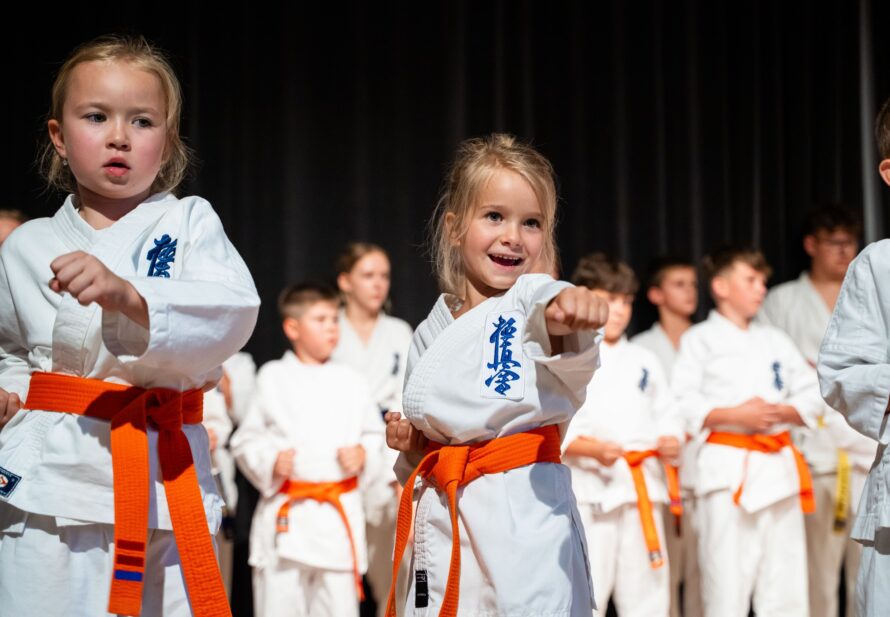 Pokaz Karate Kyokushin z okazji 10-lecia Centrum Kultury i Promocji Gminy Łososina Dolna
